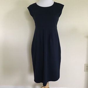 Navy Maternity Dress